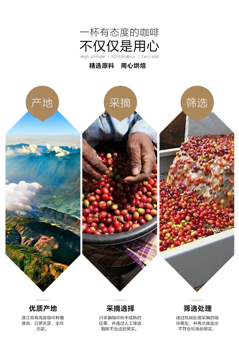 咖啡：提神醒脑的日常必需品